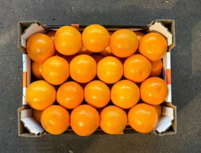 Foto Arance Varietà Tarocco Origine Italia Calibro 6 Marchio Eccellenza Capitale  3